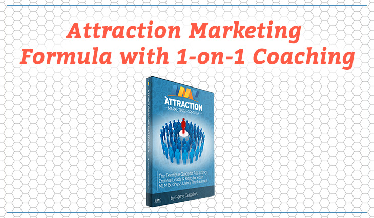 network marketing attraction marketing