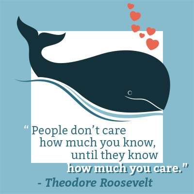 8.supplemental_400x400_2