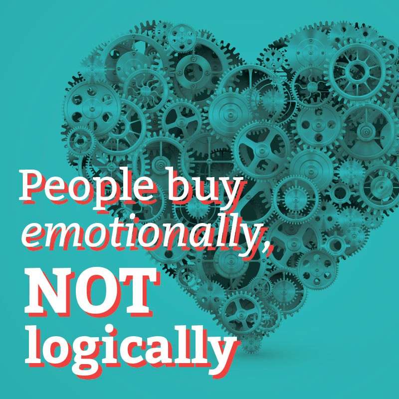 6.supplemental_800x800_4